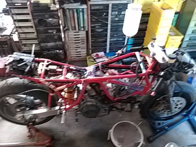 ロッカーラパイド リバースヘッドエンジン Tt1 団塊の世代とducati