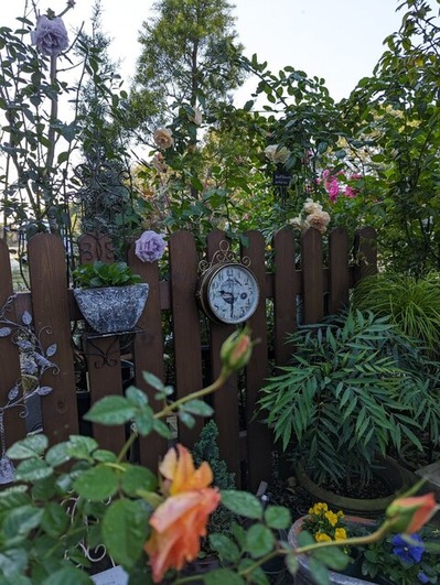 48137ddb-d545-45b4-87c0-006ca871fea7