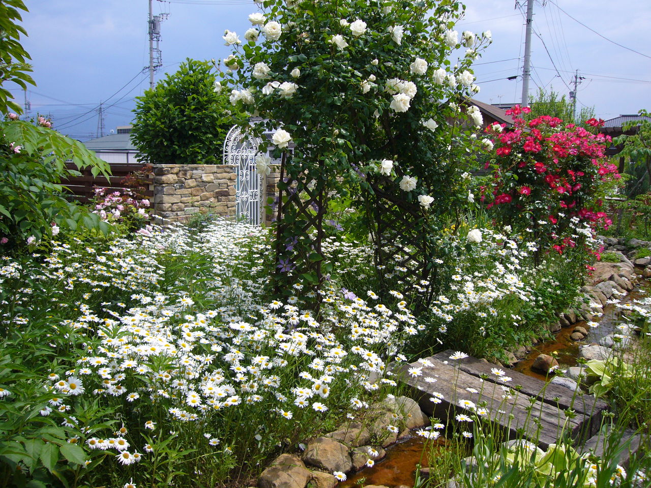 寂しい冬のお庭に 庭雑貨ドットコム オーナーブログ