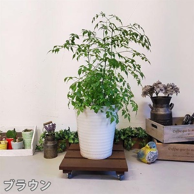niwazakka_org-19_2
