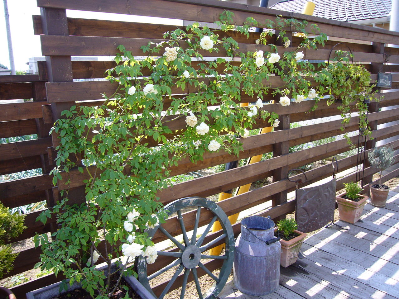 寂しい冬のお庭に 庭雑貨ドットコム オーナーブログ