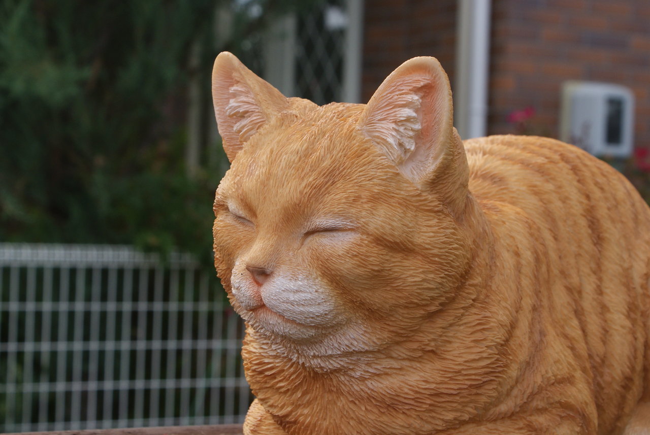 香箱ネコの 香箱とは 庭雑貨ドットコム オーナーブログ