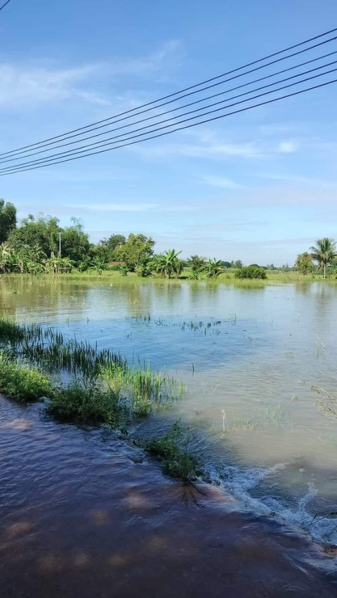 received_636777571190560