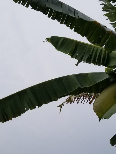 20190504_091834