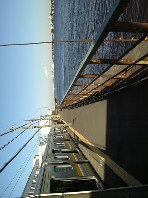 UmishibaD