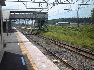 f015b833.jpg