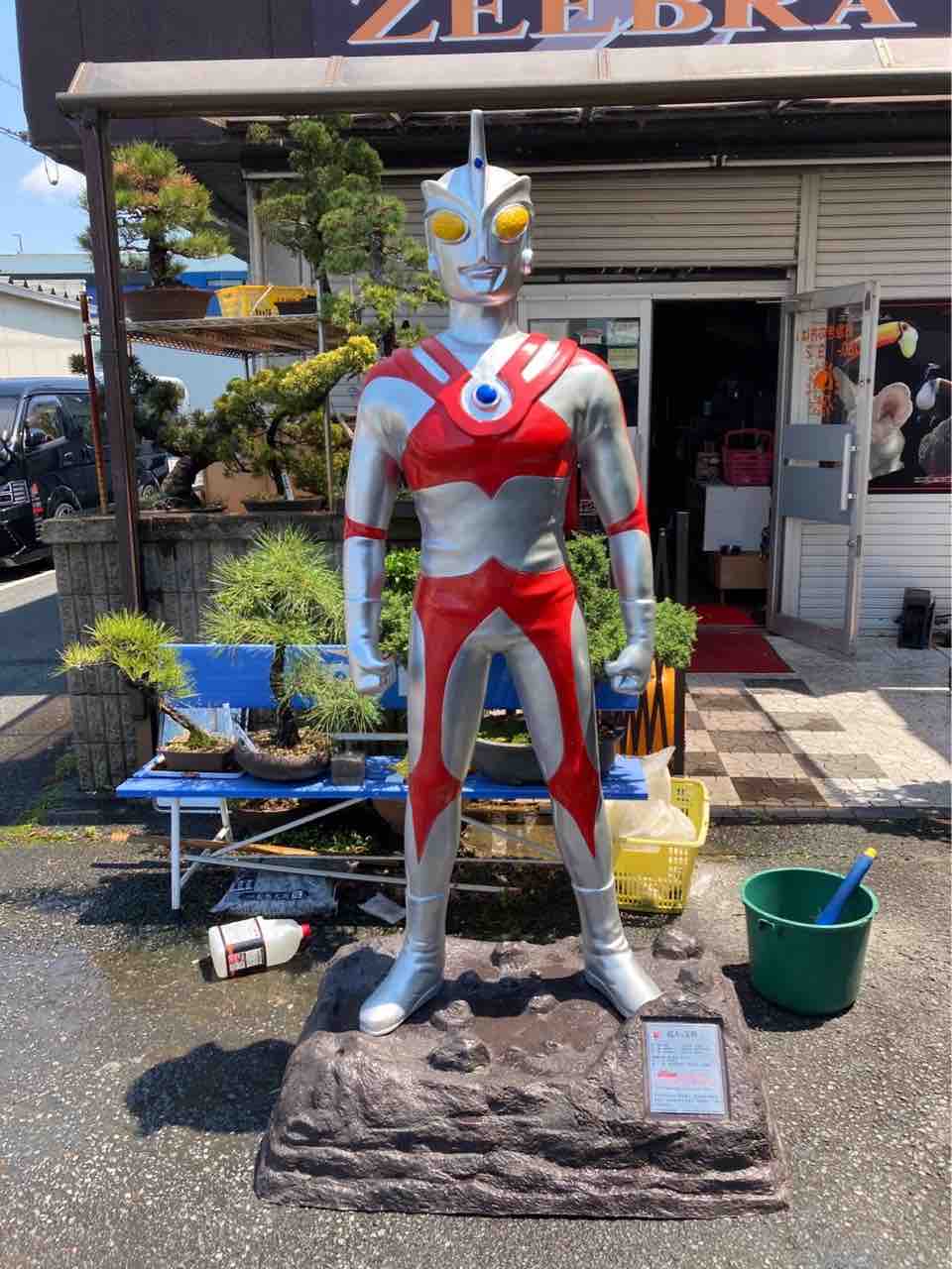 激レア品〕等身大 ウルトラマンエース フィギュア 中国語の文字 激レア品〕等身大 ウルトラマンエース フィギュア 中国語の文字