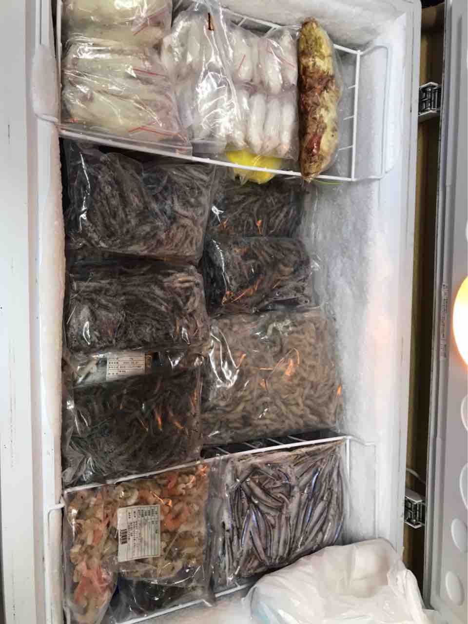 冷凍餌も沢山あります 大型熱帯魚屋 Zeebra 冷凍餌も沢山あります 大型熱帯魚屋 Zeebra