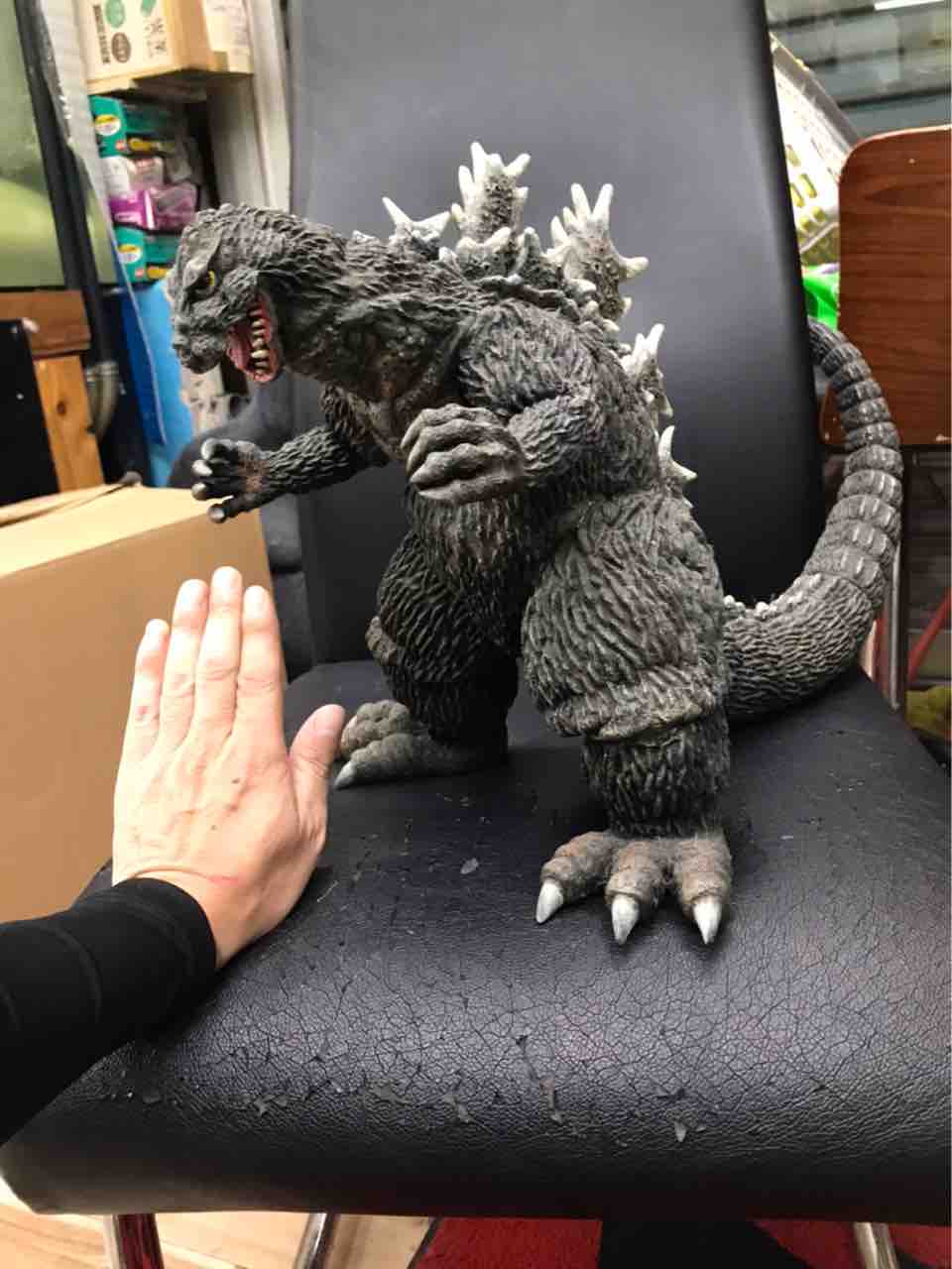 イノウエアーツ踏ん張りキンゴジ入荷 : 大型熱帯魚屋 ZEEBRA