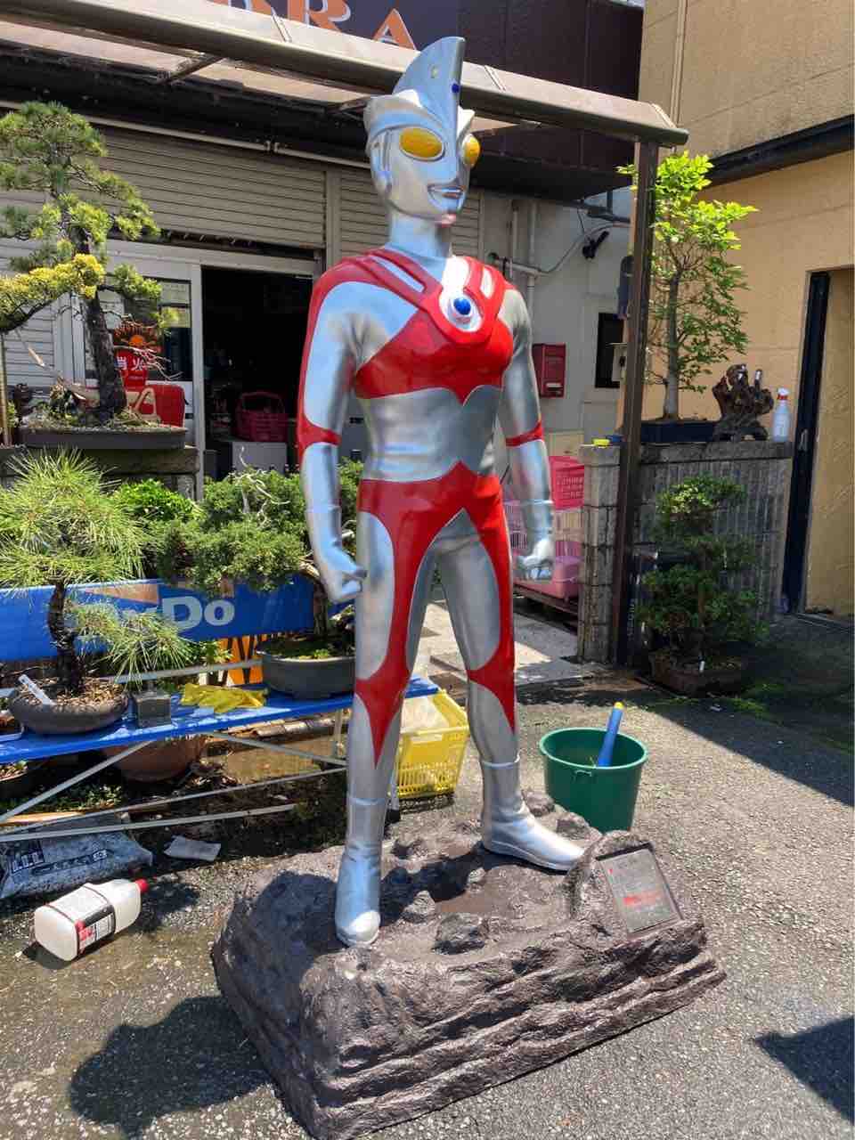 激レア品〕等身大 ウルトラマンエース フィギュア 中国語の文字