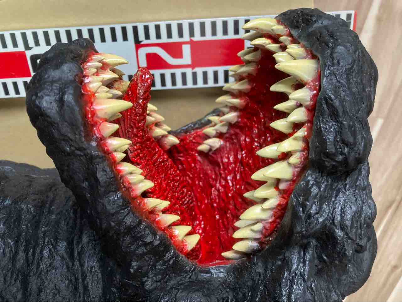 ゴジラヘッド : 大型熱帯魚屋 ZEEBRA