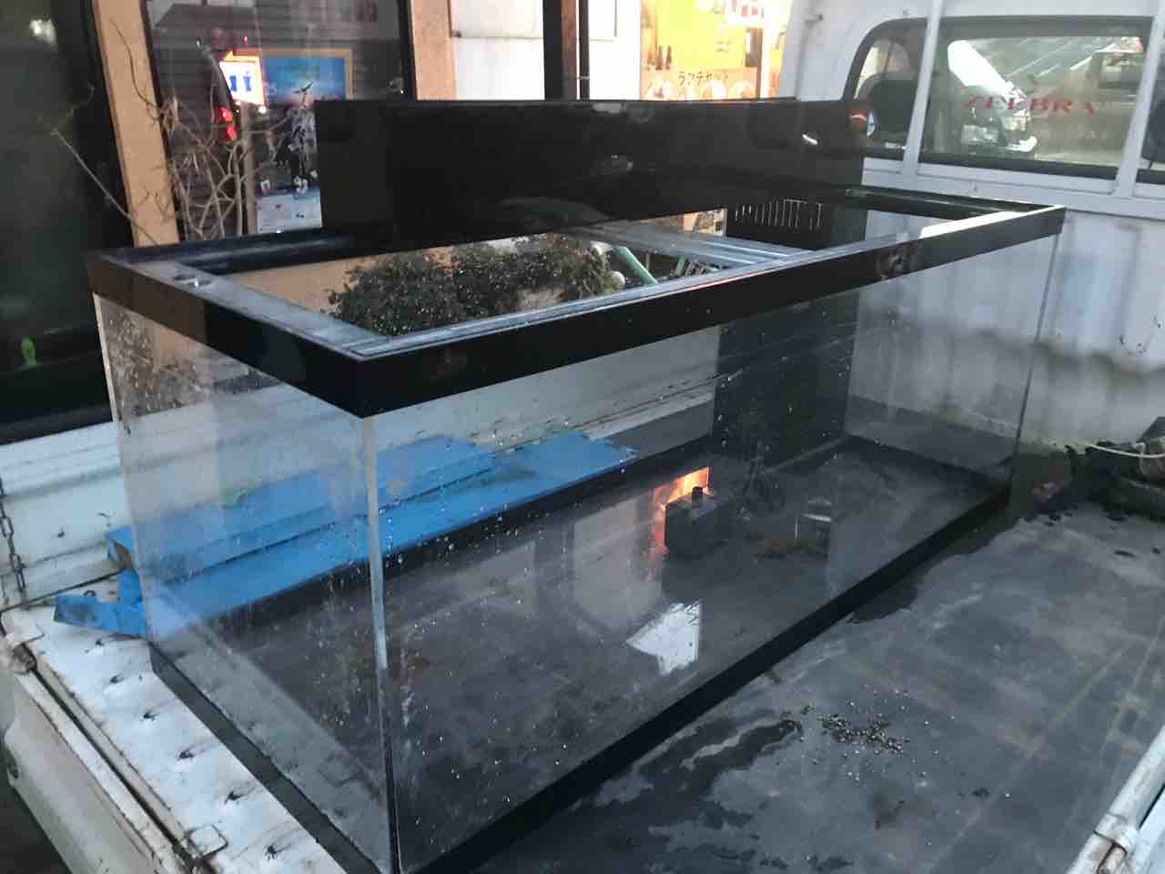 大型熱帯魚屋  ZEEBRA
      中古水槽 1500.600.600セット