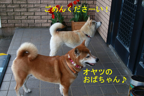 BlogPaint