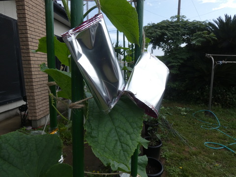 P1220301