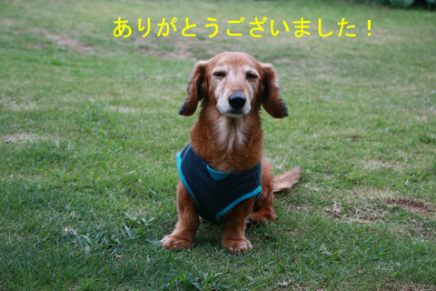 BlogPaint