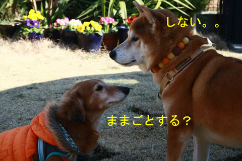BlogPaint