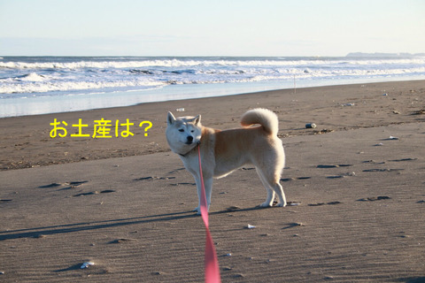 BlogPaint