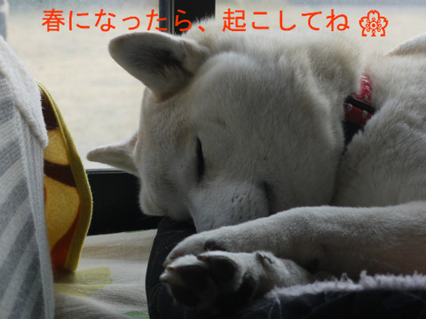 BlogPaint