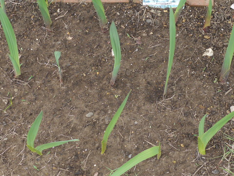 P1370543