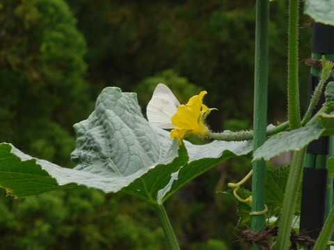 P1370552