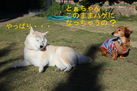 BlogPaint