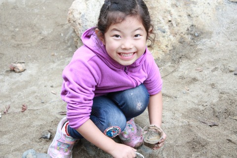 新しいイメージ14