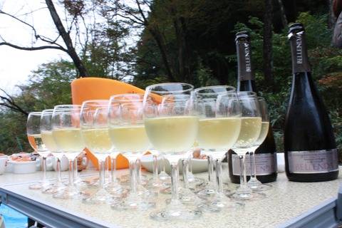 新しいイメージ