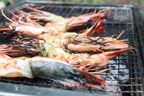 新しいイメージ6