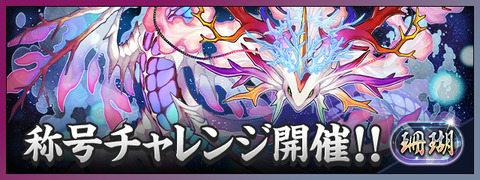 仮共有用DD