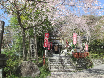 IMG_4566 熊野若王子