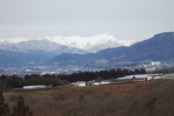DSC_1007
