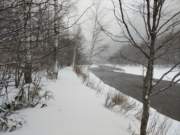 DSC_0356