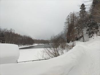 DSC_3778