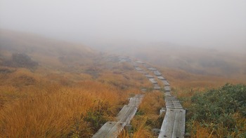 DSC_0724