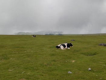 DSC_4220