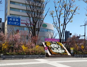 DSC_3985~2