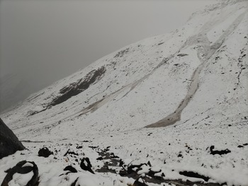 DSC_3500