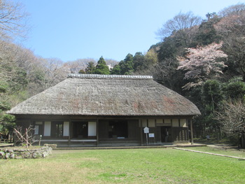 新林公園