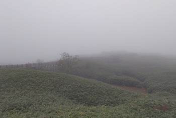 DSC_2200