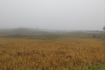 DSC_2204