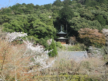 IMG_4568 永観堂