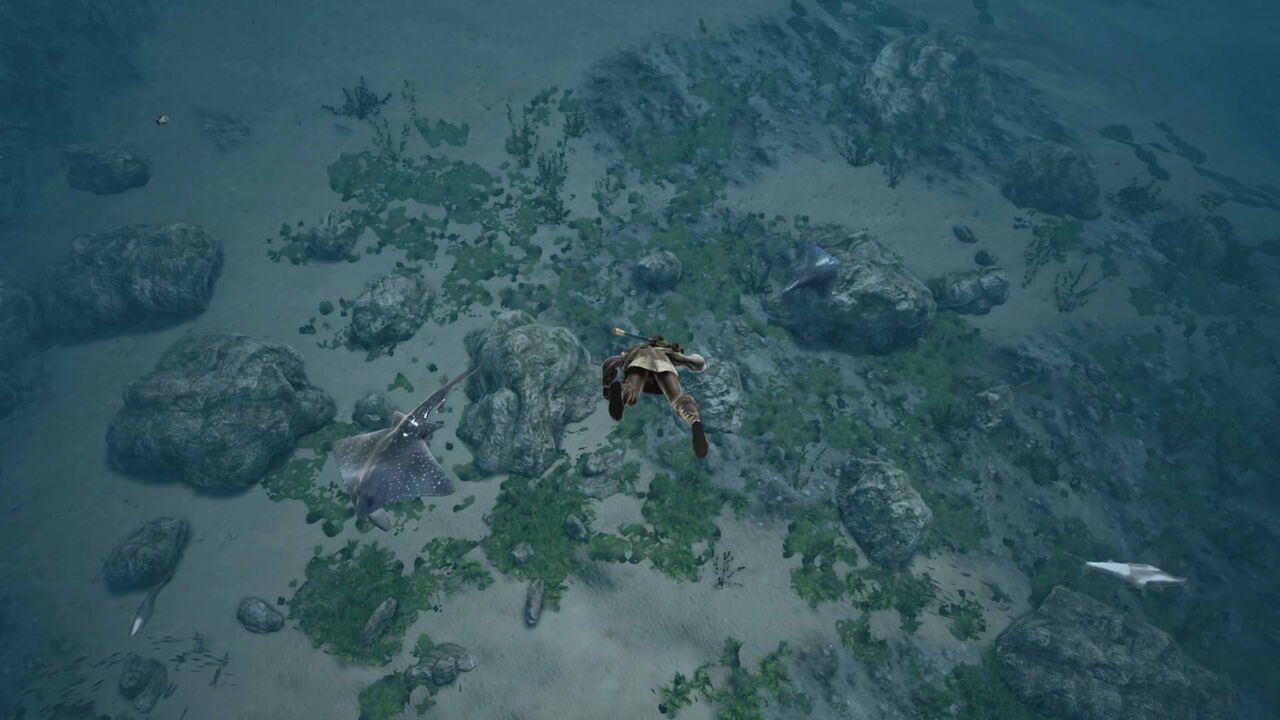 黒サバ セチ釣り竿でカモメ釣り エウレカのf民デパーチャーズ