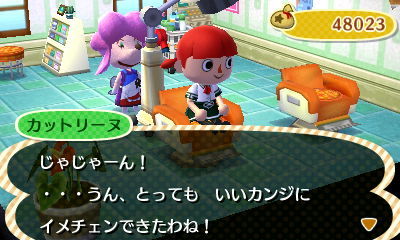 にーな村長 村興しに励む その２ とびだせ どうぶつの森 不定期営業 緑風