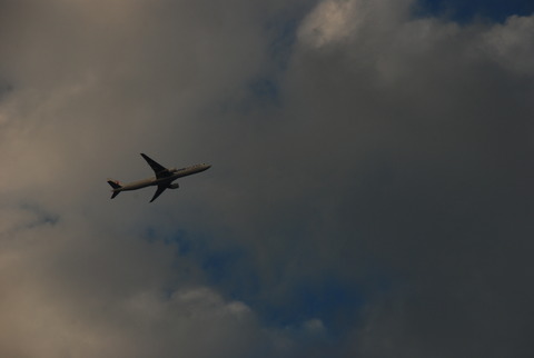 DSC_8252