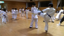 IMAG0485