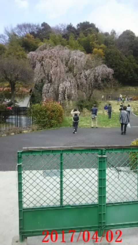 20170402_正門２
