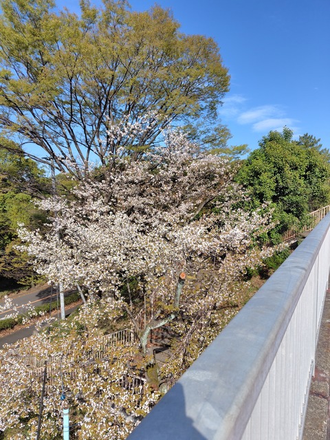 260403150628652