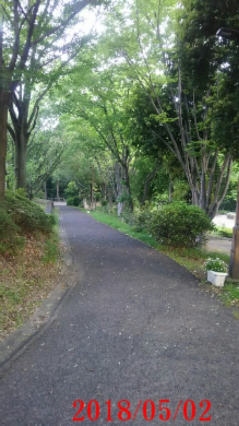 ⑧聖ヶ丘遊歩道