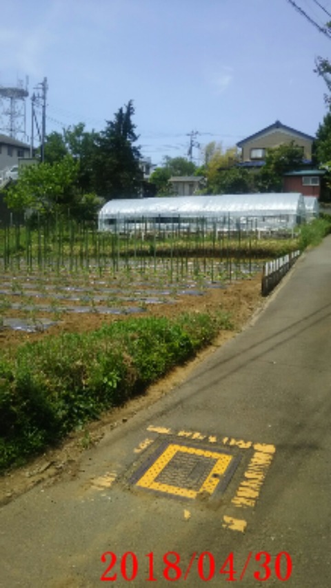 ⑥ぶらり散歩終了ナス畑終着駅
