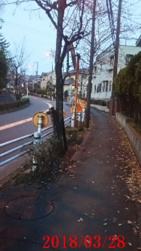 ⑮地元バス通り